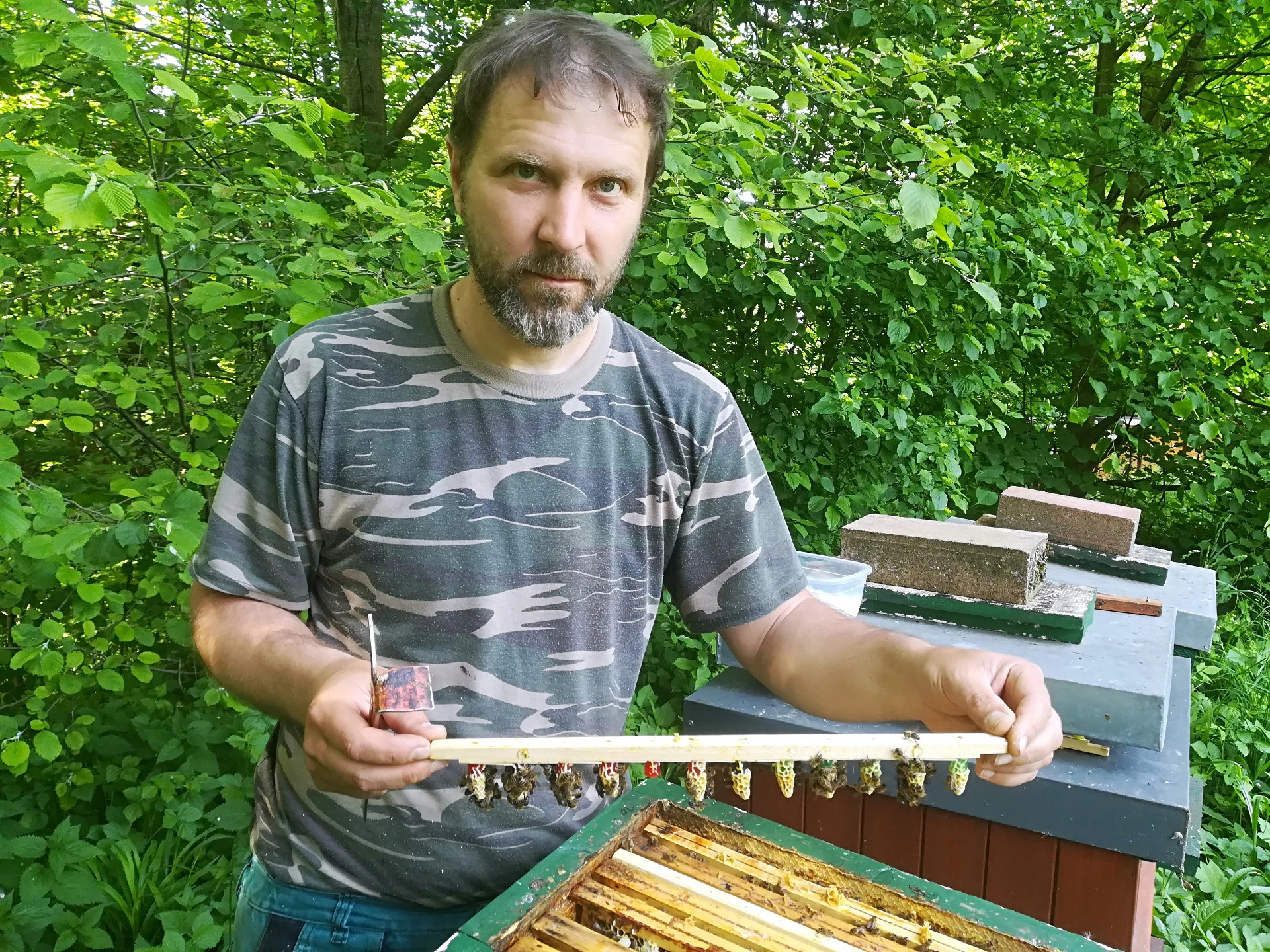 SLUŽBY PRO VČELAŘE